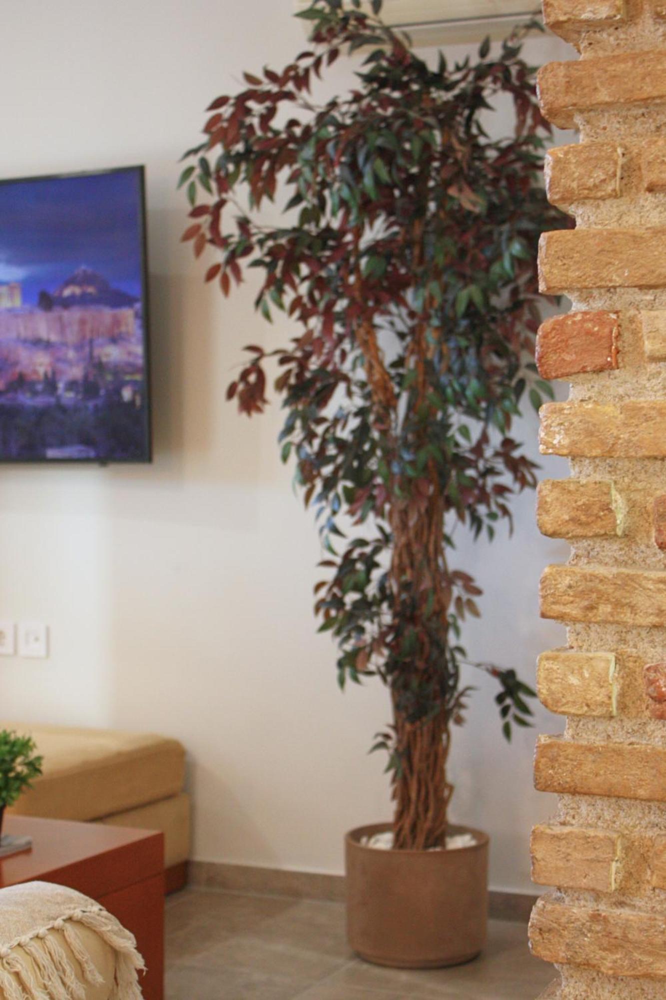 Apartment Camara Kos Town